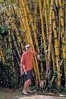 Bamboo hugger